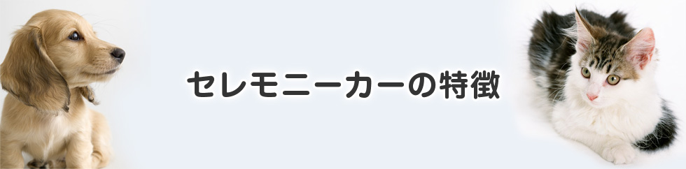 セレモニーカーの特徴