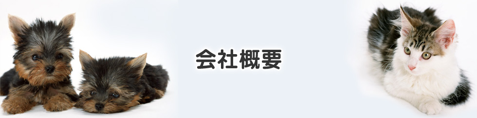 会社概要