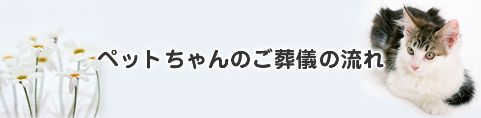 ペットちゃんのご葬儀の流れ