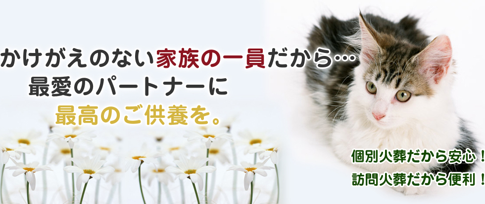 かけがえのない家族の一員だから…最愛のパートナーに最高のご供養を